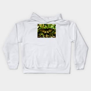 The Butterfly's' Abstraction Kids Hoodie